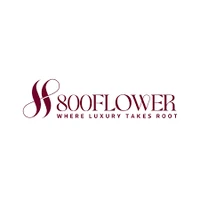800 فلاور شعار